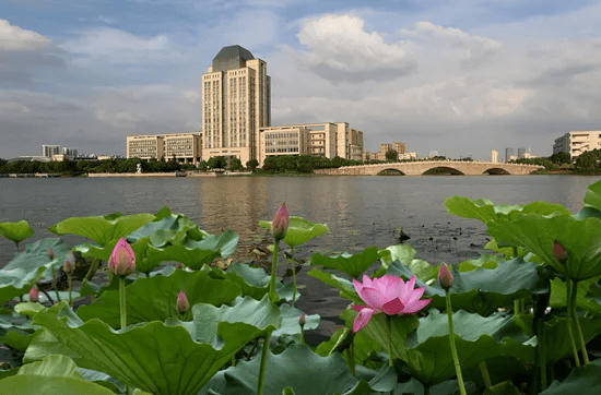 江南大学(江南大学在职研究生报名条件)