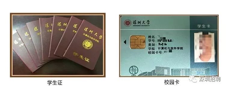 深圳大学文凭(深圳大学本科学历)