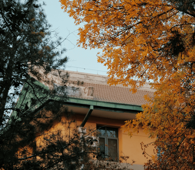 中央财经大学毕业证(中央财经大学毕业证封面)