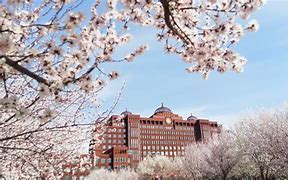 内蒙古大学文凭(内蒙古大学本科毕业要求)