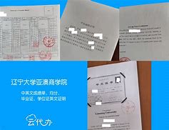 辽宁大学毕业证(辽宁大学毕业证啥样)