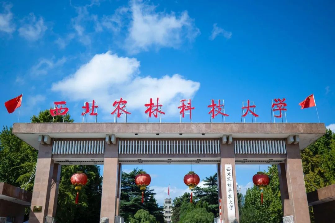 西北农林科技大学(西北农林科技大学动物科技学院)