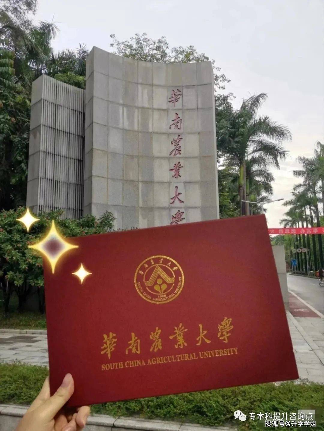 中山大学文凭(中山大学文凭含金量高吗)