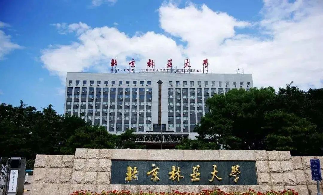 北京林业大学(北京林业大学食堂)
