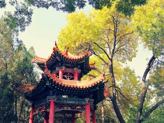 山西大学毕业证(山西大学毕业证补办)