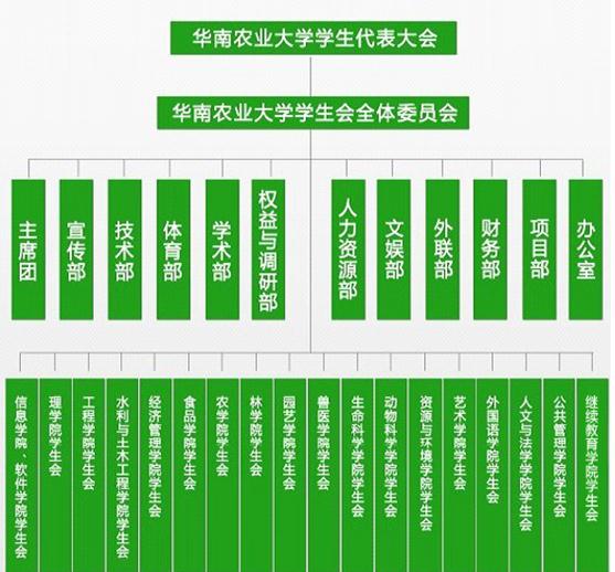 华南农业大学毕业证样本
