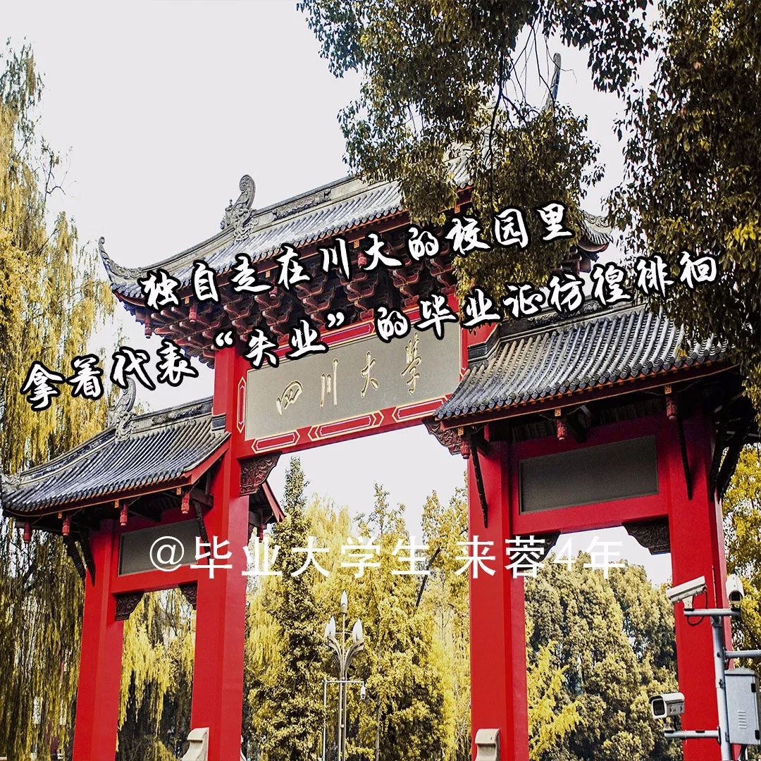 四川大学本科学历