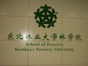东北林业大学较高收费毕业证