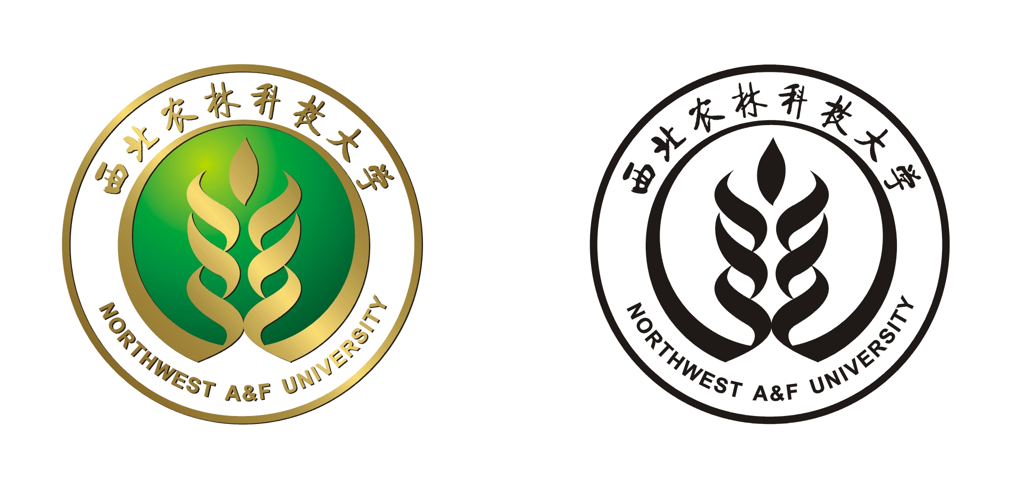 西北农林科技大学王牌专业