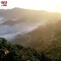 辽宁大学毕业证啥样