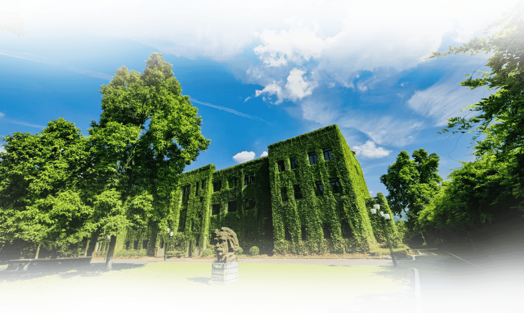 西南大学2025分数线