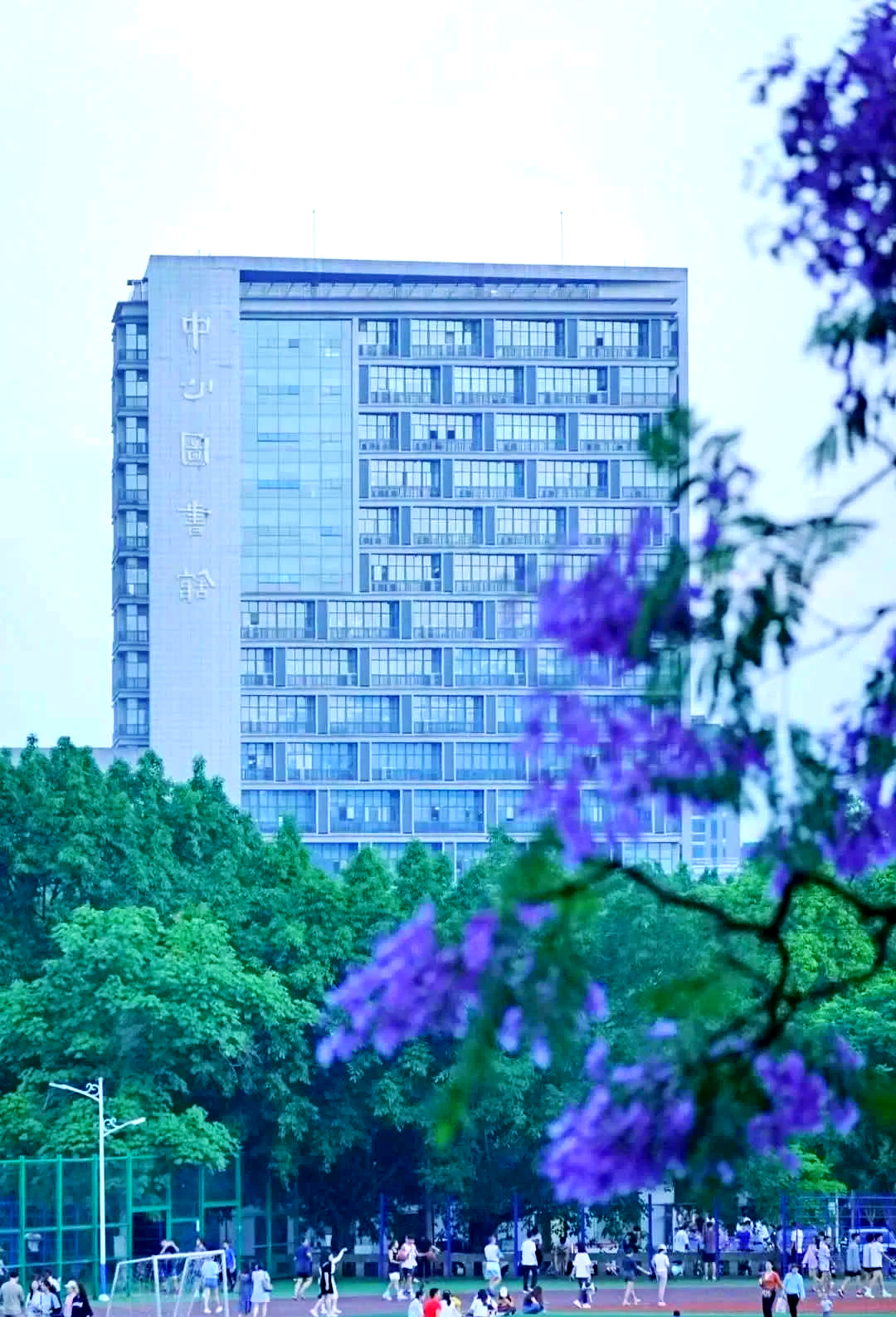 西南大学2025分数线