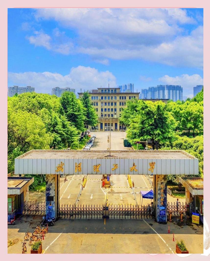 武汉理工大学全国排名